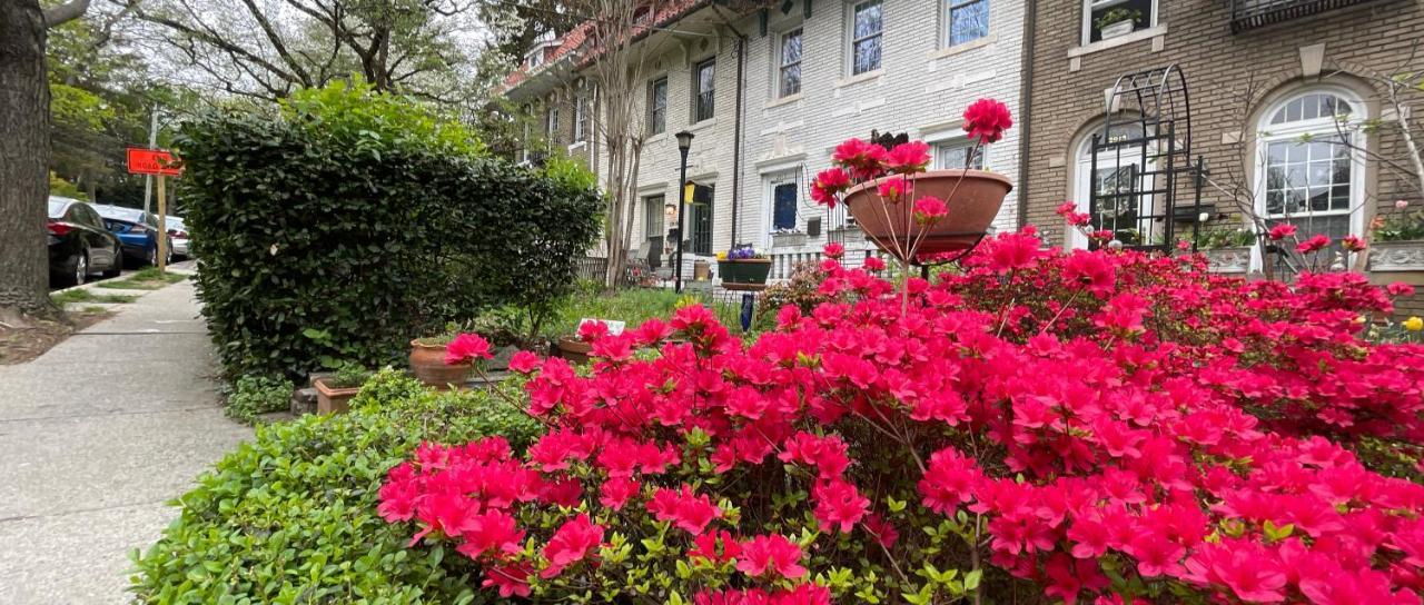 Wayside Inn Bed And Breakfast Ellicott City Exterior photo